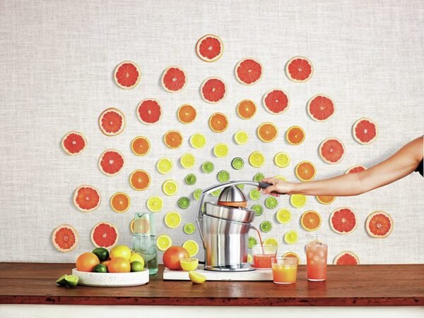 Breville Citrus Press Pro Electric Juicer, Stainless Steel, 800CPXL - Image 6